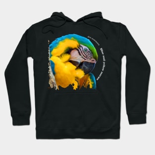 Blue and yellow macaw tropical bird pin white text Hoodie